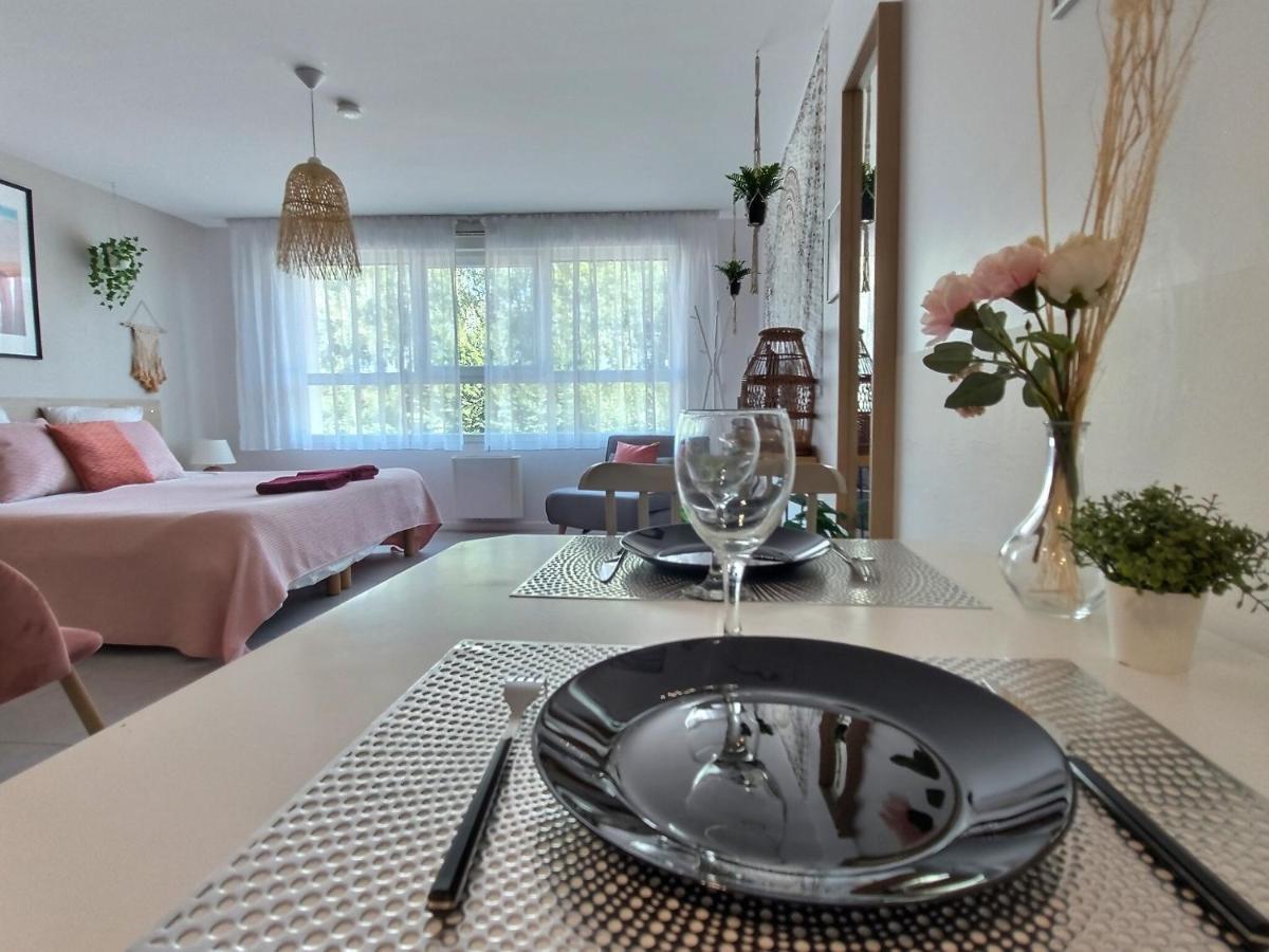 L'Amazonie - Roissy Cdg - Parc Asterix - Paris Apartment Moussy-le-Neuf Ngoại thất bức ảnh